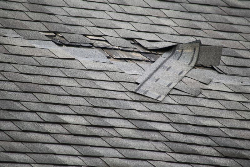 Asphalt Roof Leak Repair in Mathews, VA