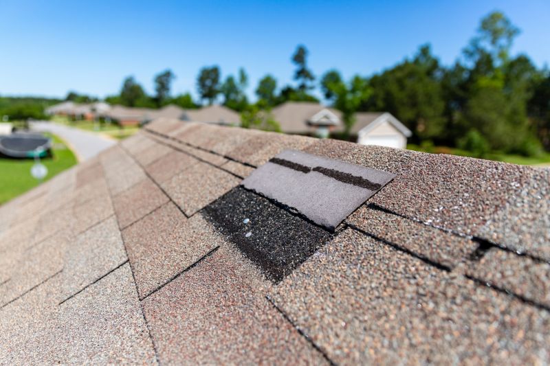 Asphalt Roof Leak Repair in Surry, VA