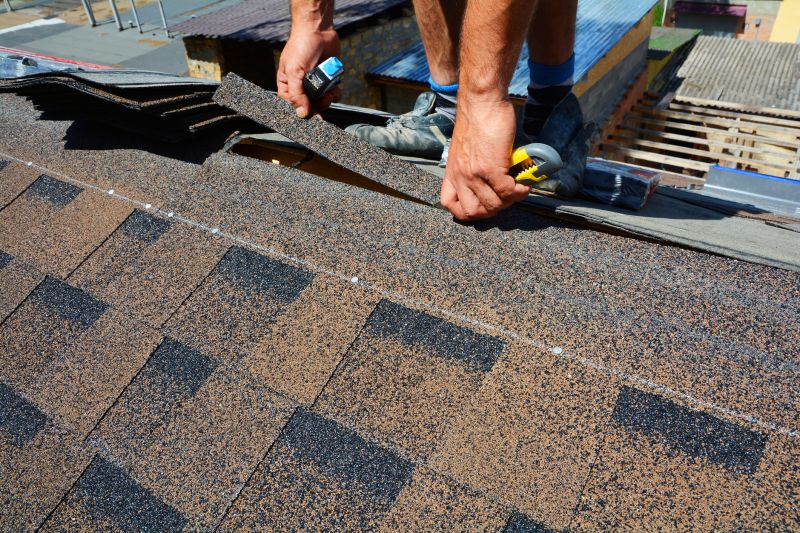 Asphalt Roof Repair in Hudgins, VA