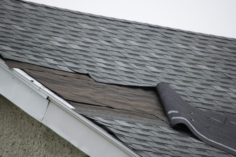 Asphalt Shingles Repair in James City County, VA