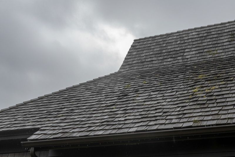 Cedar Roof Replacement in Carrollton, VA