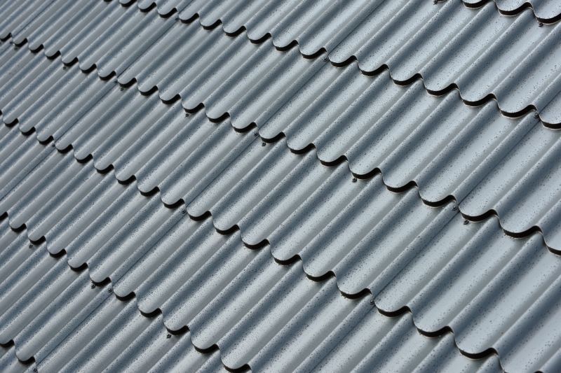 Corrugated Roof Repair in James City County, VA