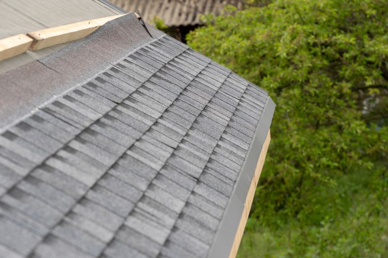 Damaged Roof Repair in Gloucester, VA