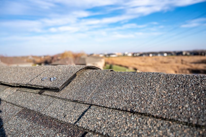 Damaged Roof Repair in James City County, VA