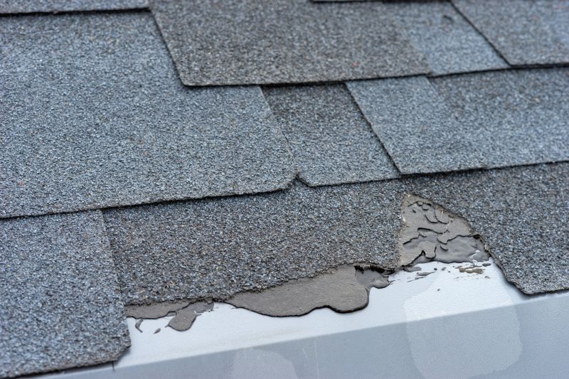 Damaged Roof Repair in Norfolk, VA