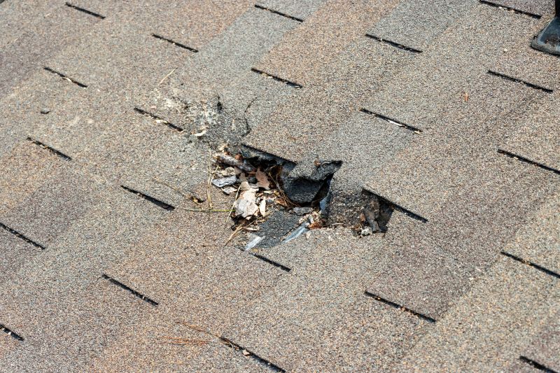 Damaged Roof Replacement in York County, VA