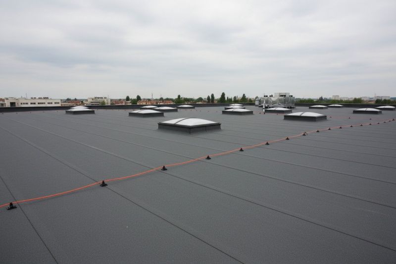 Flat Roof Replacement in Cardinal, VA