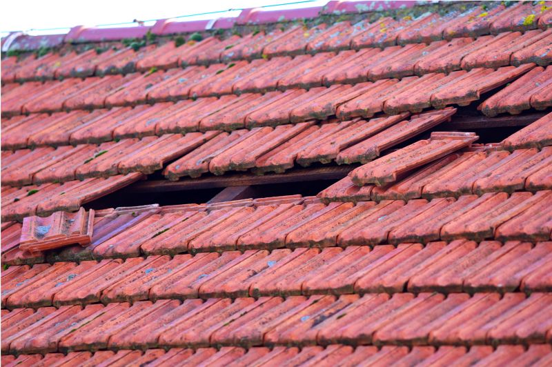 Roof Damage Inspection in Carrollton, VA