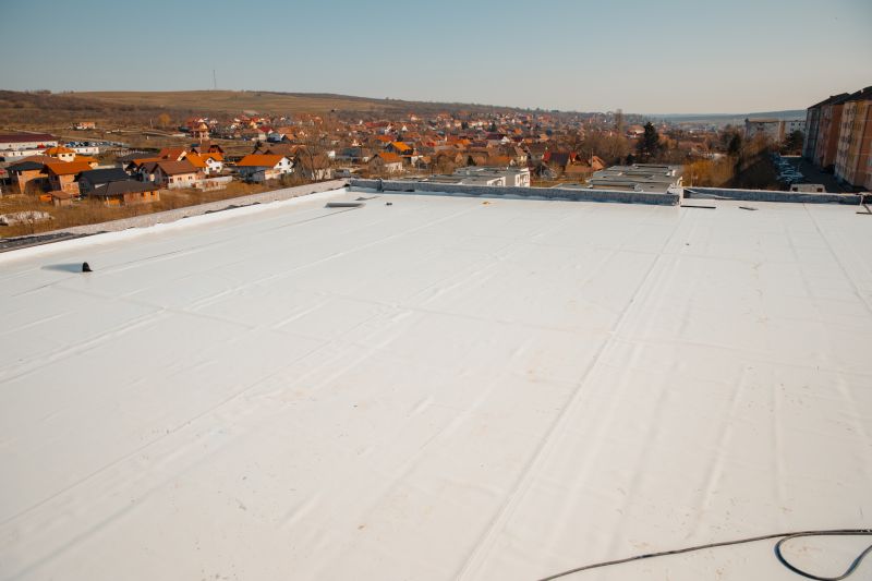 Rubber Roof Repair in Cardinal, VA