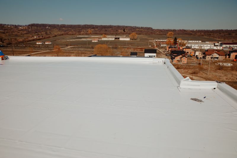 Rubber Roof Repair in Hudgins, VA