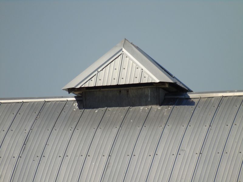 Tin Roof Installation in Portsmouth, VA