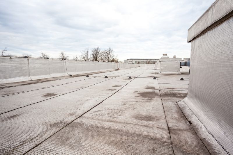 Tpo Roof Repair in Carrollton, VA
