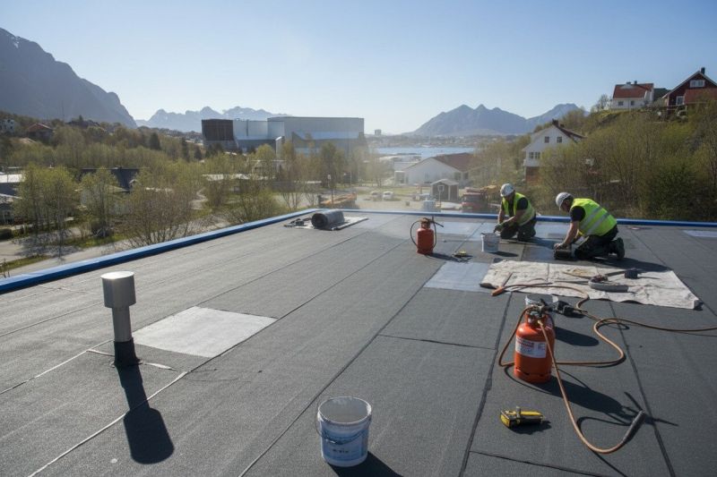 Tpo Roof Replacement in Newport News, VA