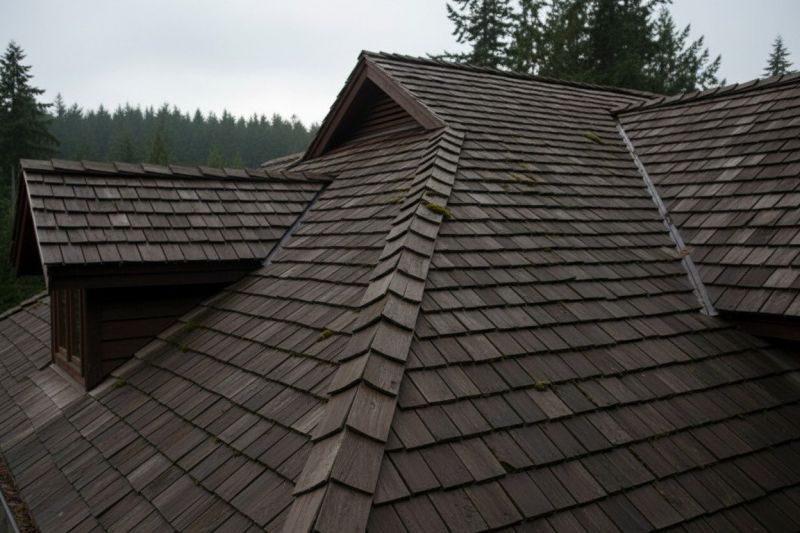 Wood Shake Roof Replacement in Poquoson, VA